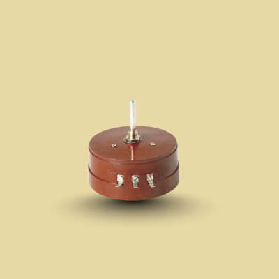 Single Turn Wire Wound Potentiometer R-W- 15_Product